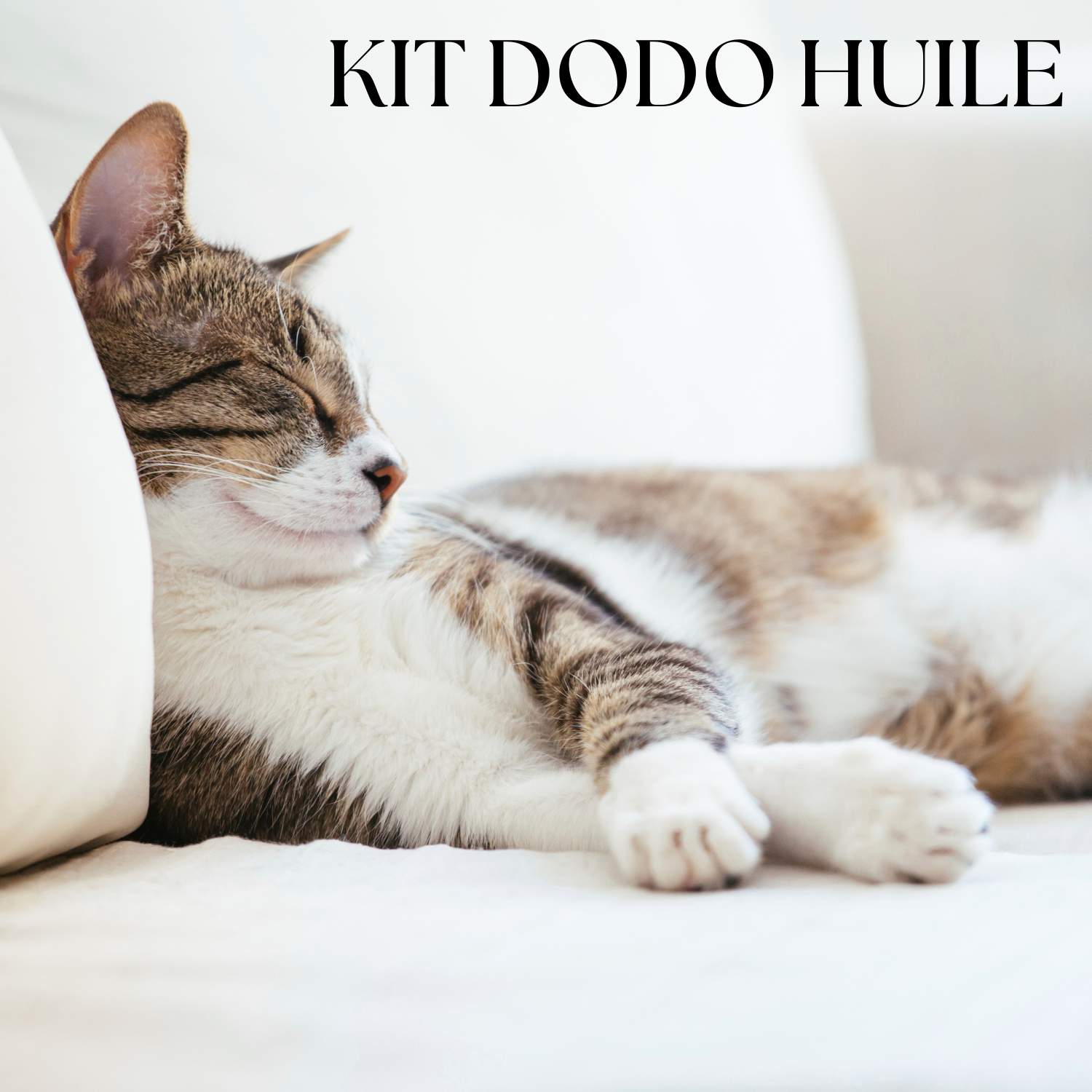 KIT DODO HUILE