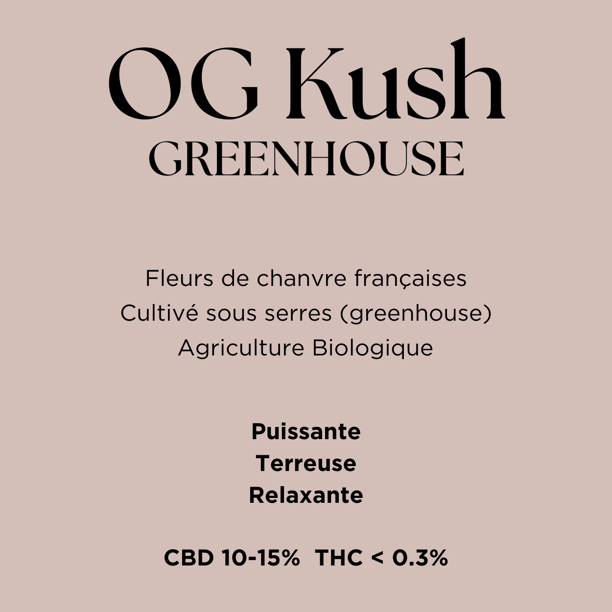 OG Kush Greenhouse Little Buds