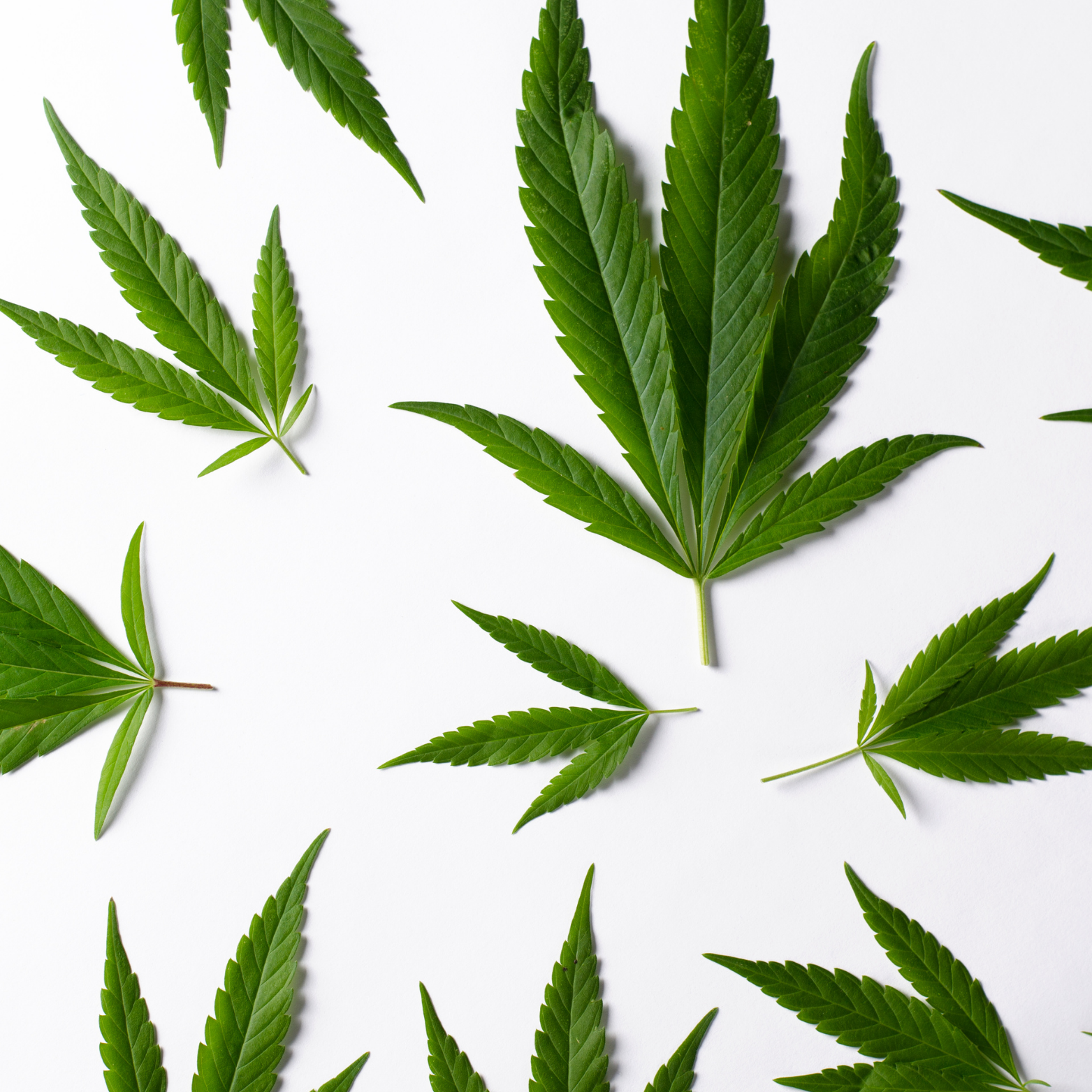 Gélules CBD ZÉRO THC – Sérénité & Performance Sans Compromis