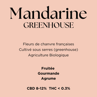 Mandarine Greenhouse