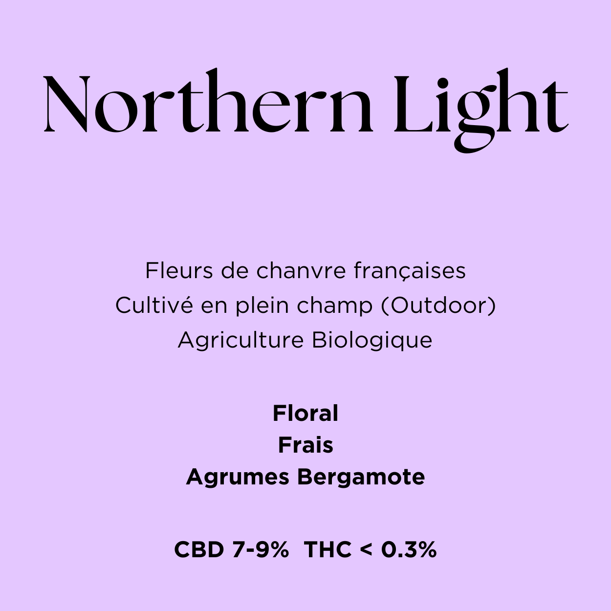 Northern Light