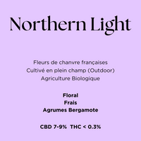 Northern Light