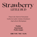 Strawberry Little Bud