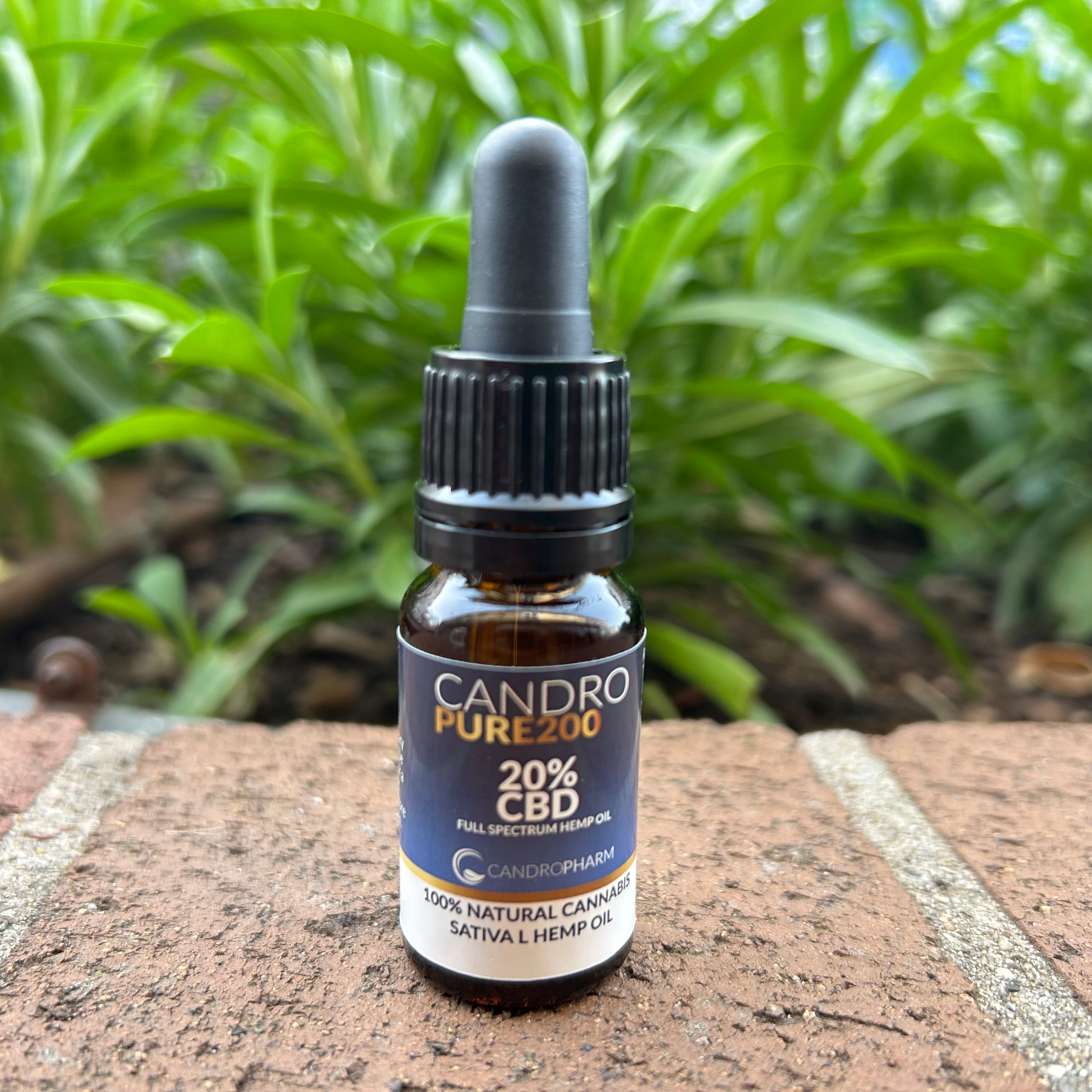 Huile chanvre animaux 20 % – 0 % THC