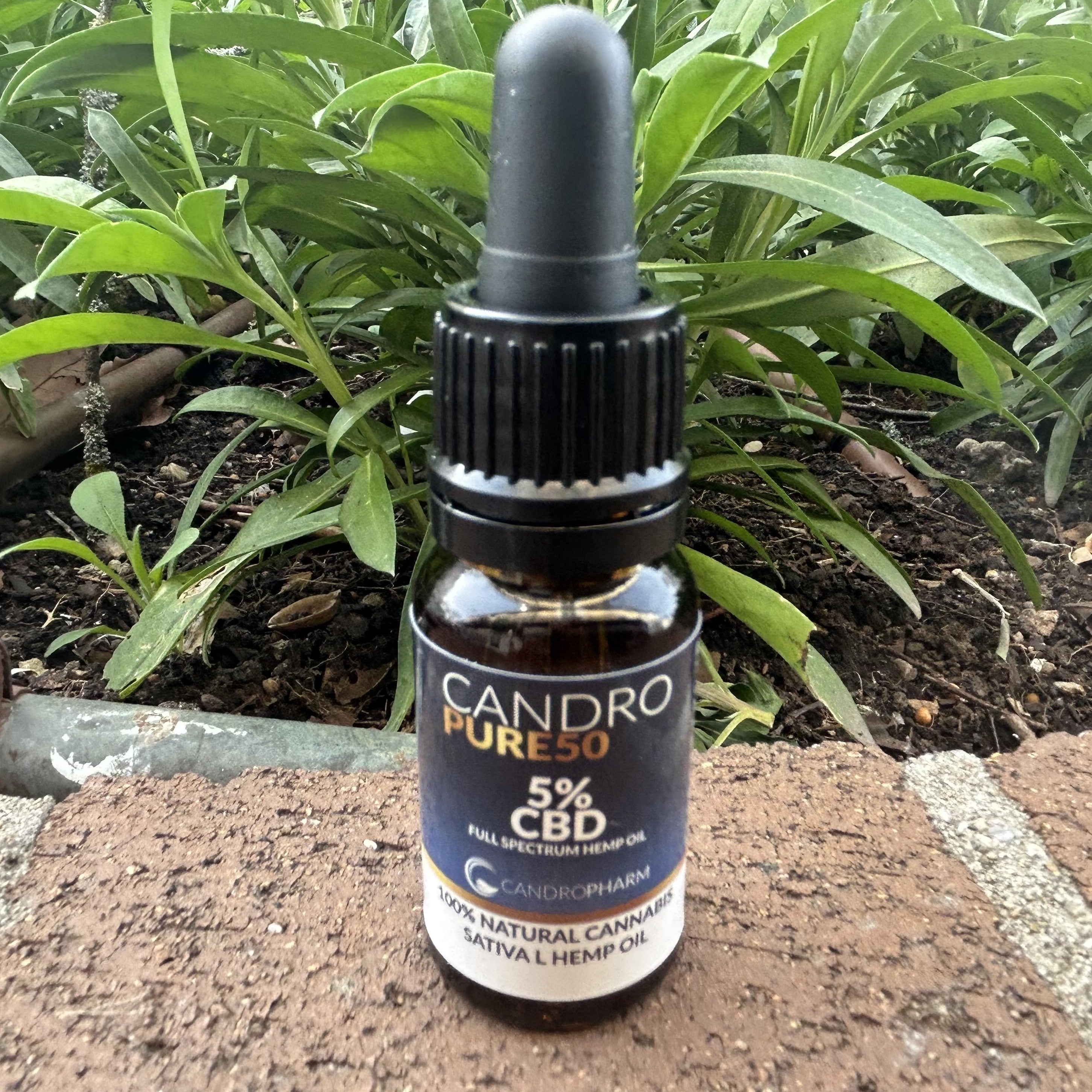 Huile chanvre animaux 5 % – 0 % THC