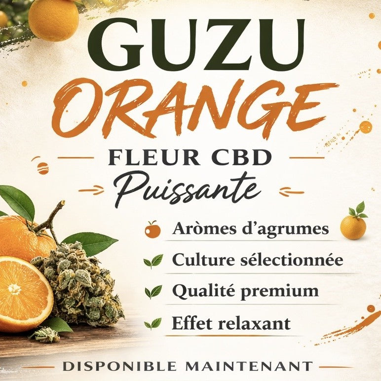 Guzu Orange – Fleur CBD Puissante 15%