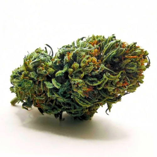 Strawberry Fleur CBD Bio Outdoor – Plein Soleil