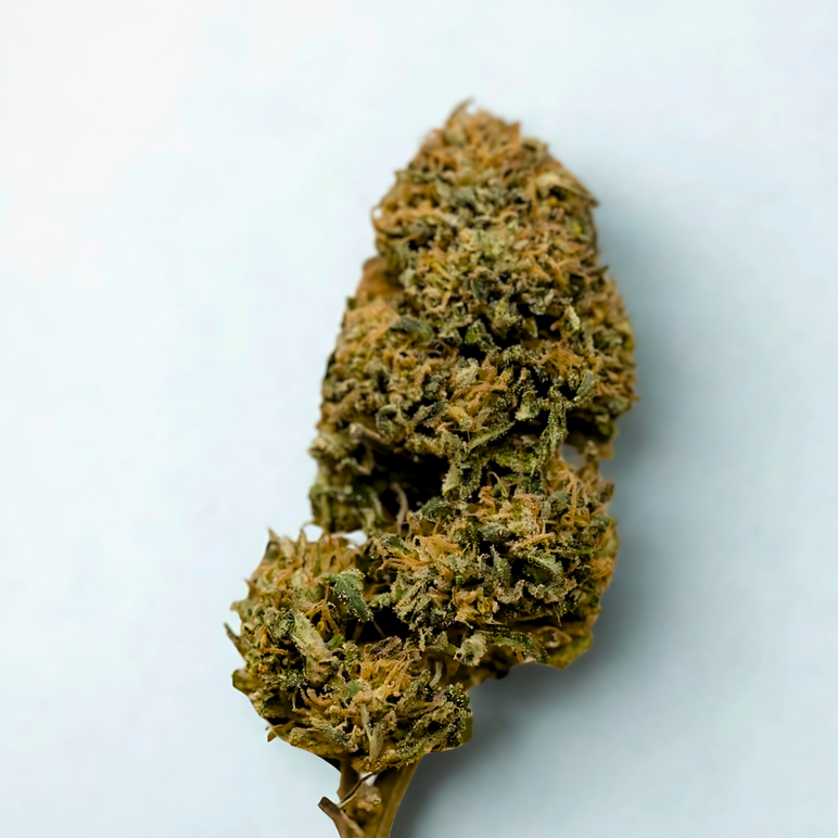 Guzu Orange – Fleur CBD Puissante 15%