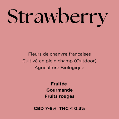 Strawberry Fleur CBD Bio Outdoor – Plein Soleil