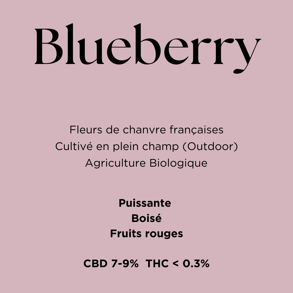 Blueberry